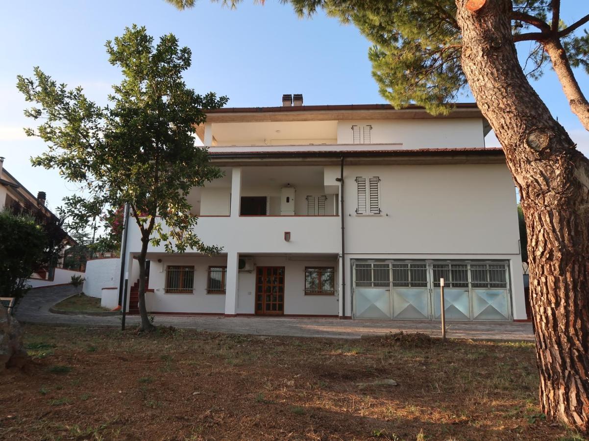 Terra Da Mare Apartment Potenza Picena Exterior photo